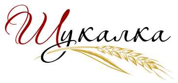 “Шукалка” - нова українська пошукова система