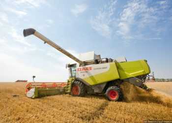 Яка галузь повина бути приорітетною для України?