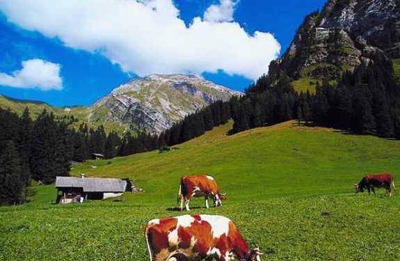 У Швейцарських Альпах заборонено гуляти без одягу