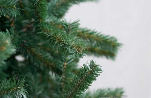 Поради по догляду за ялинкою