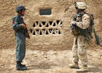 Знищено 23 бойовика