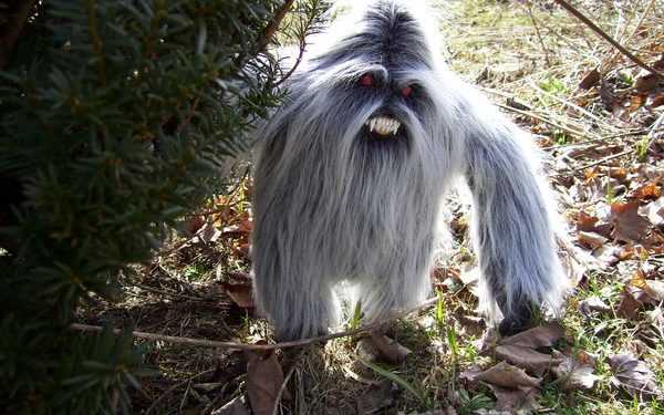 В Кемеровській області зніматимуть фільм про Єті