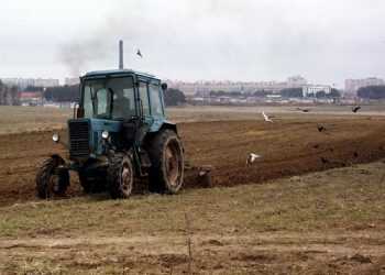 Світовий банк критикує український законопроект про ринок земель