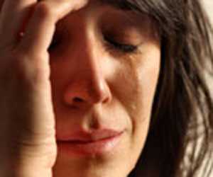 В собачому притулку сталось жорстоке зґвалтування