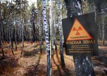 Екскурсії до Чорнобиля відновляться наступного тижня