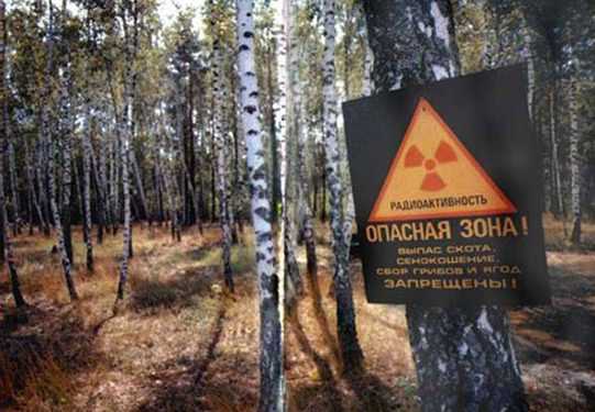 Екскурсії до Чорнобиля відновляться наступного тижня