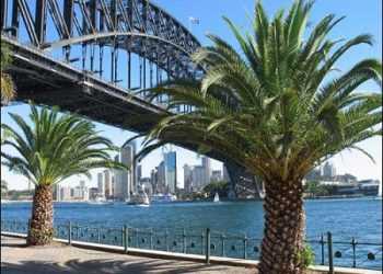 Австралієць залишився живим після падіння з 8-го поверху власної квартири