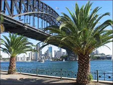 Австралієць залишився живим після падіння з 8-го поверху власної квартири