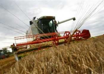 Украинским аграриям предоставят 50% скидку на газ и электроэнергию