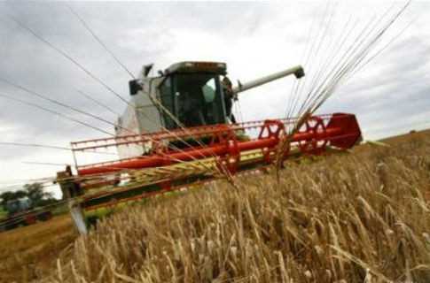 Украинским аграриям предоставят 50% скидку на газ и электроэнергию