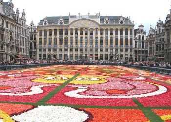 Бельгії прогнозують