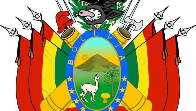 Студентські заворушення охопили столицю Болівії