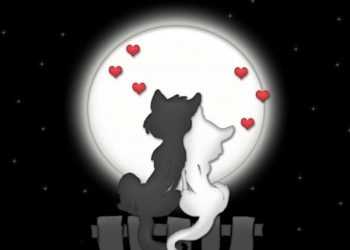 Як святкують день закоханих