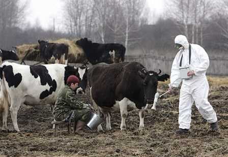 Тури в Чорнобиль абсолютно безпечні для людського здоров’я