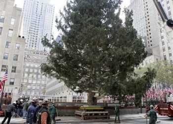 Головна ялина США засяяла різдвяними вогнями