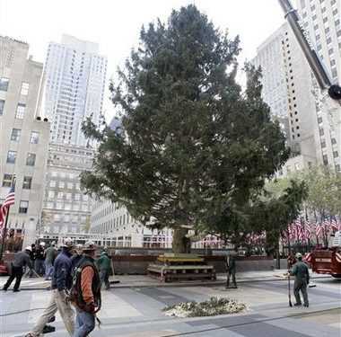Головна ялина США засяяла різдвяними вогнями