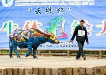 Фестиваль розмальованих буйволів