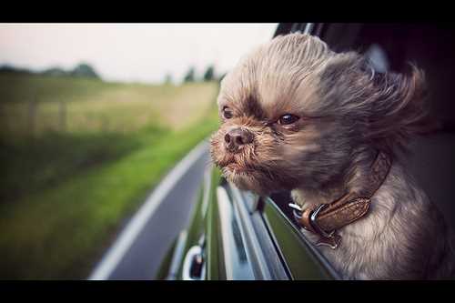 На таксі з Лондона в Мадрид і назад