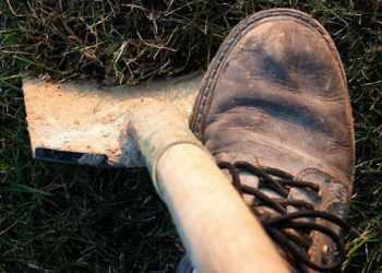 Депутати не подовжили мораторій на продаж землі