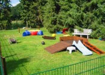 В Киеве будет больше мест для выгула животных