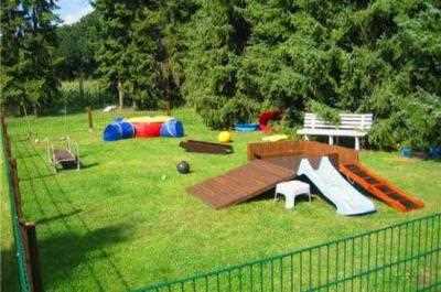 В Киеве будет больше мест для выгула животных