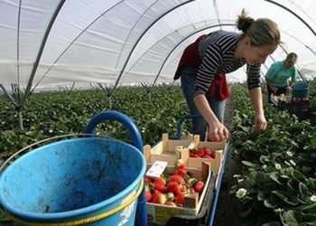 Мигранты инвестировали в Украину больше $ 5 млрд