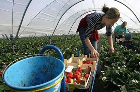 Мигранты инвестировали в Украину больше $ 5 млрд