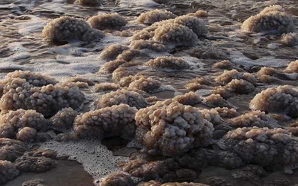 Вчені: мертве море одного разу вже вмирало