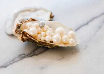 Японські вчені вивчають «мову» устриць