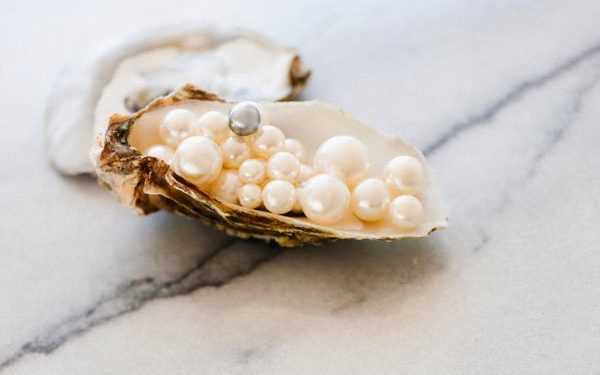 Японські вчені вивчають «мову» устриць