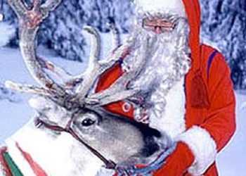 У Фінляндії напередодні Різдва туристів катають на оленях