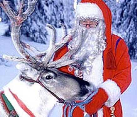 У Фінляндії напередодні Різдва туристів катають на оленях