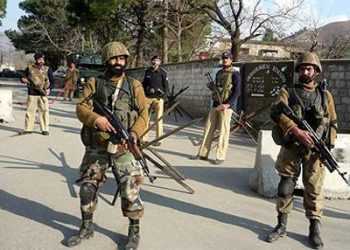 В Пакистані заарештували мавпу, яка «незаконно» перетнула кордон