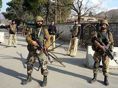 В Пакистані заарештували мавпу, яка «незаконно» перетнула кордон