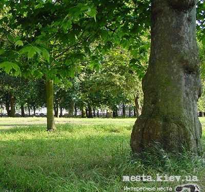 Парку Юності в Святошинському районі надали статус пам’ятки