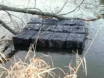 Бобер-прикордонник