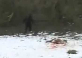 Пограничникам удалось поймать «снежного человека»