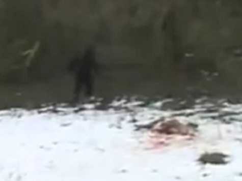 Пограничникам удалось поймать «снежного человека»