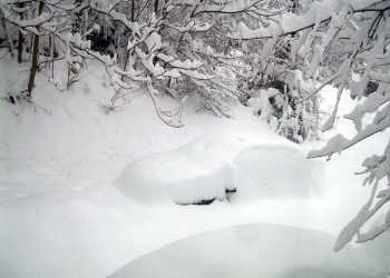 Американська сім'я пробула у сніговому завалі 2 дня