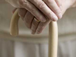 Грабіжника зупинила пенсіонерка