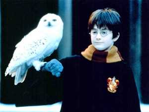 У Львові відкрили кафе для прихильників Гаррі Поттера