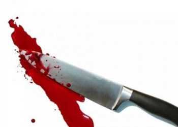 Задержаны сожители, пытавшиеся выбросить расчлененный труп в канаву