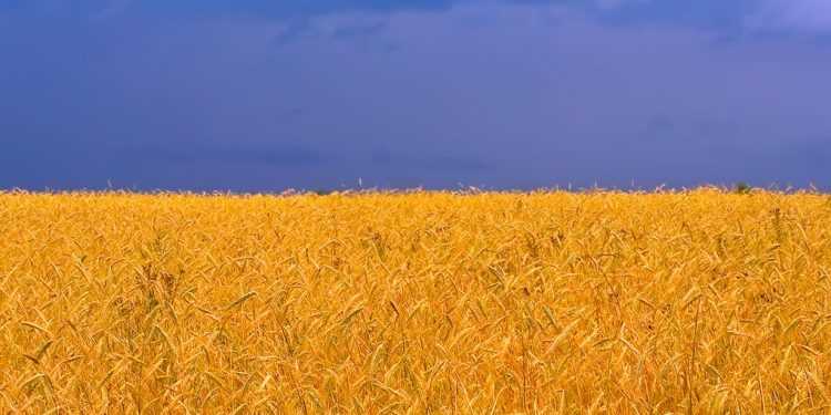 Місце України в міжнародних рейтингах