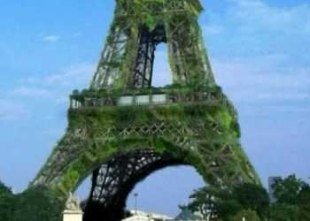 Головний символ Парижу пропонують перетворити на найвище в світі дерево