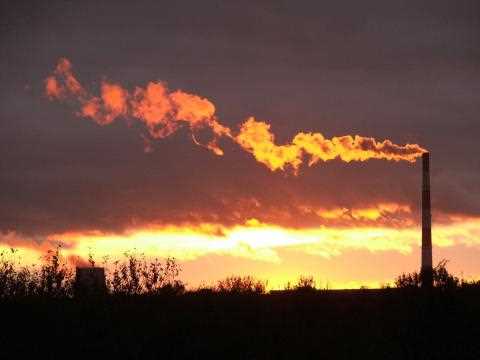 Зростання промвиробництва України сповільнилося