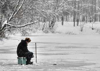 Дитина, гуляючи, перетнула кордон з Китаєм