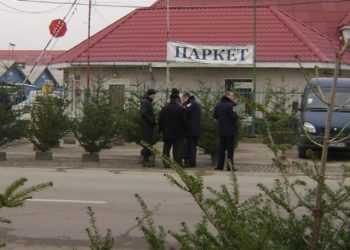 В Україні гине «ялинковий» бізнес – всьому виною злополучні «чіпи»