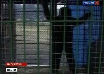 Йети из Ингушетии оказался сотрудником дома отдыха