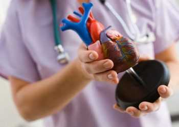 Створили новий засіб що запобігає захворюванням серця