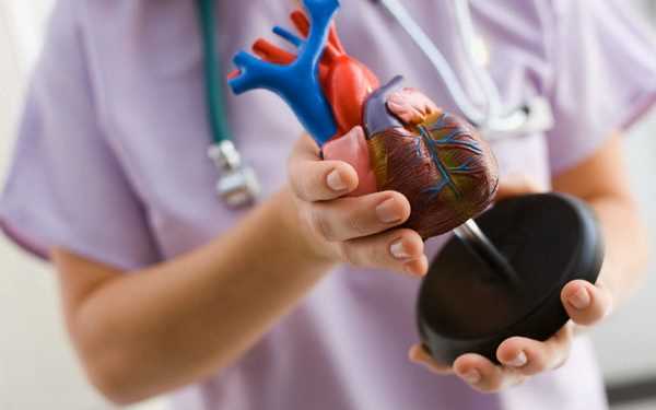 Створили новий засіб що запобігає захворюванням серця